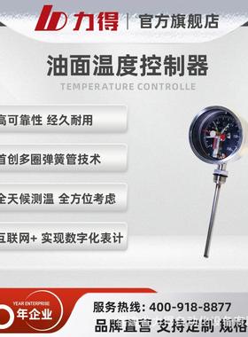 福建力得油浸式变压器温度控制器油温表温度控制器BWPK-802系列
