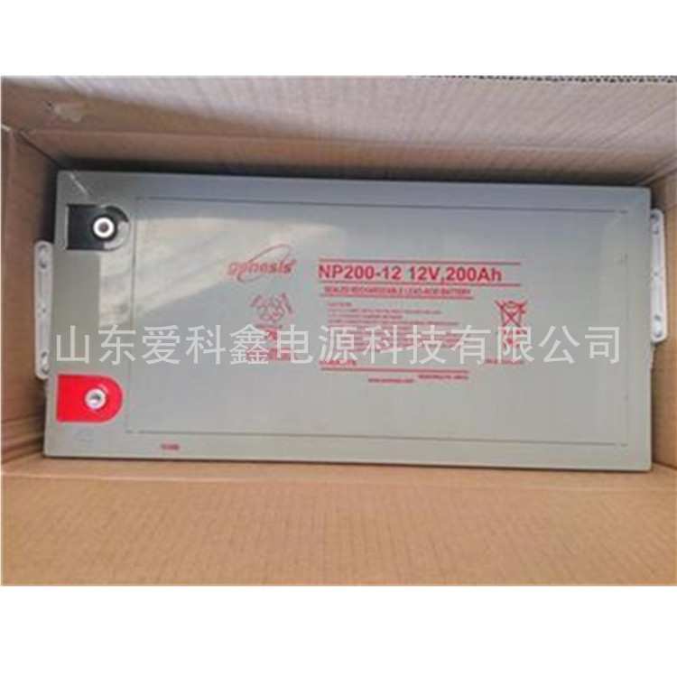 genesis霍克蓄电池NP200-12 直流屏UPS电力免维护电瓶12V200AH
