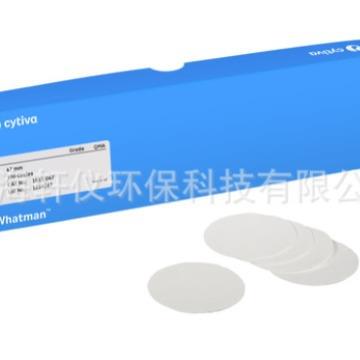 10600038 英国沃特曼Amersham Hybond P 0.45 PVDF 印迹膜