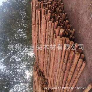 各种规格河道防汛松木桩 松树桩基础打桩价格防腐打桩木削尖