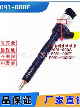 云内490龙工叉车P091-080S 喷油器 P091-000F喷油嘴适配铲车