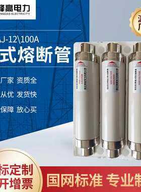 厂家供应 高压管式熔断管SFLAJ-12\100A 高压限流熔断器