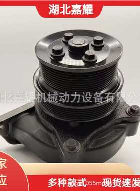 供应适用于东风康明斯ISZ13/QSZ13发动机水泵总成 C5580047