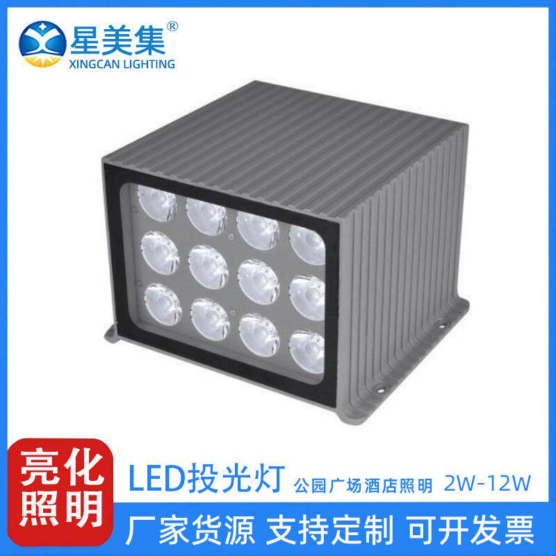 2W6W12W 户外防水led壁虎双向单向投光灯公园广场庭院园林投射灯