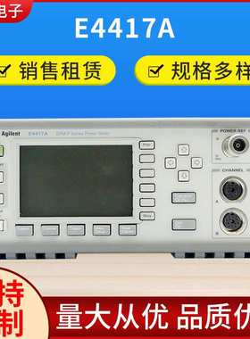 国仪双通道功率计现货供应 定制E4417A EPM-P系列双通道功率计