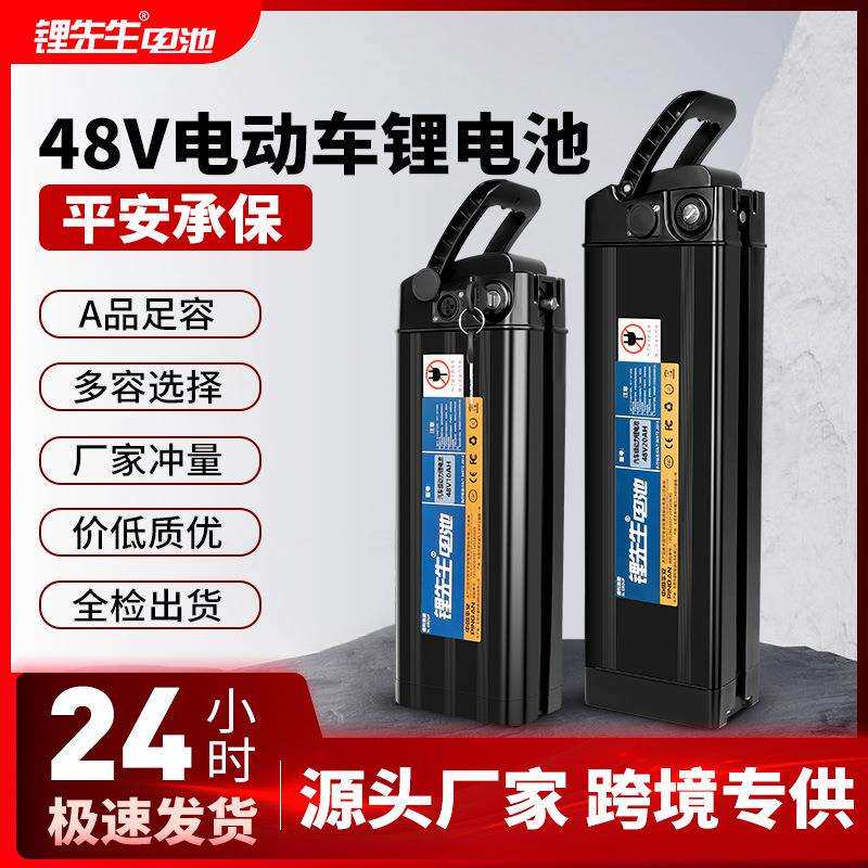 锂先生48v海霸电池14寸电动折叠自行车两轮代驾车专用充电锂电池