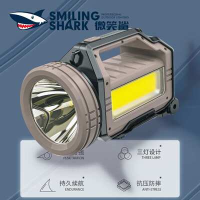 Outdoor suffused with double light beacon light hand lamp