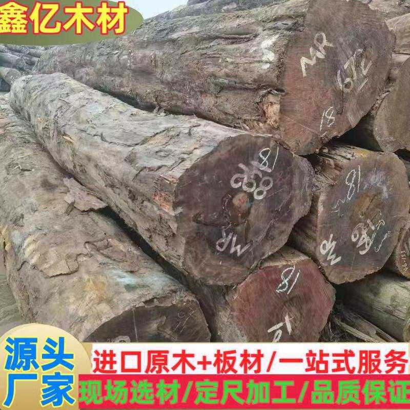 CUR贝壳杉 南洋夹竹桃 日罗东 棺木寿材防腐木料 南洋桐原木板