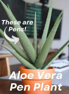 3D打印芦荟仿真盆栽笔芯亚马逊跨境barbados aloe