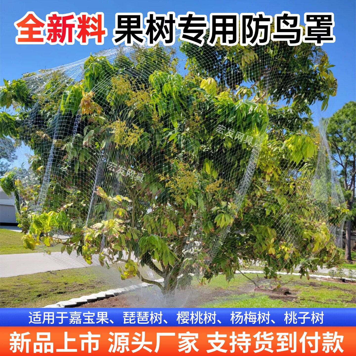 果树果园尼龙防鸟网罩