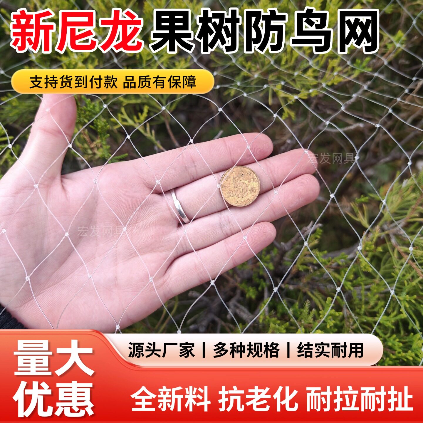 果园防鸟网防鸟天网尼龙网葡萄樱桃大棚果园果树用网农用防鸟网罩