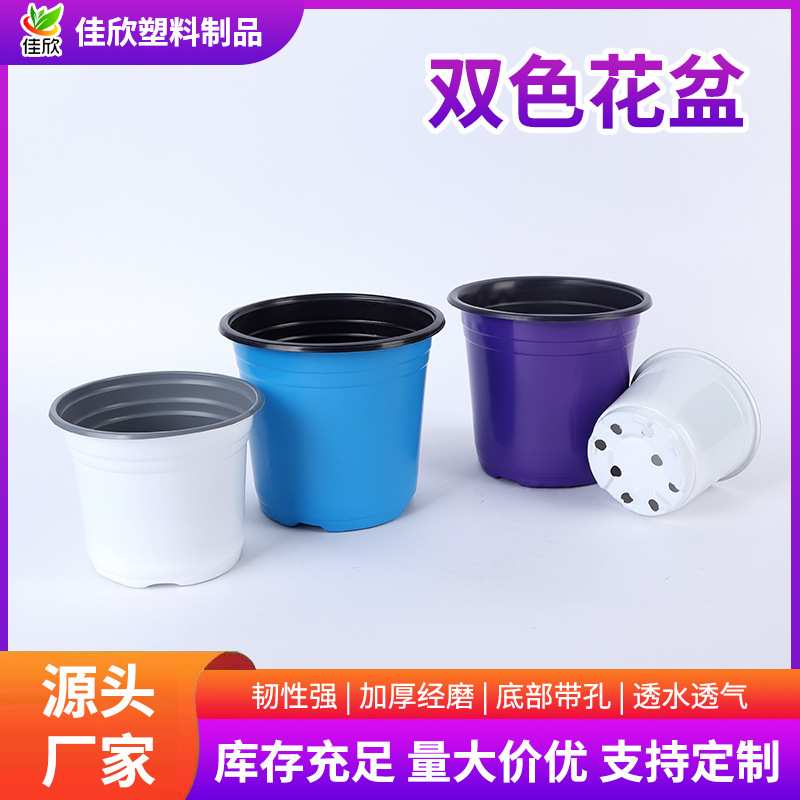 彩色双色盆白色绿色蓝色紫色双色花盆加厚育苗杯一次性塑料花盆