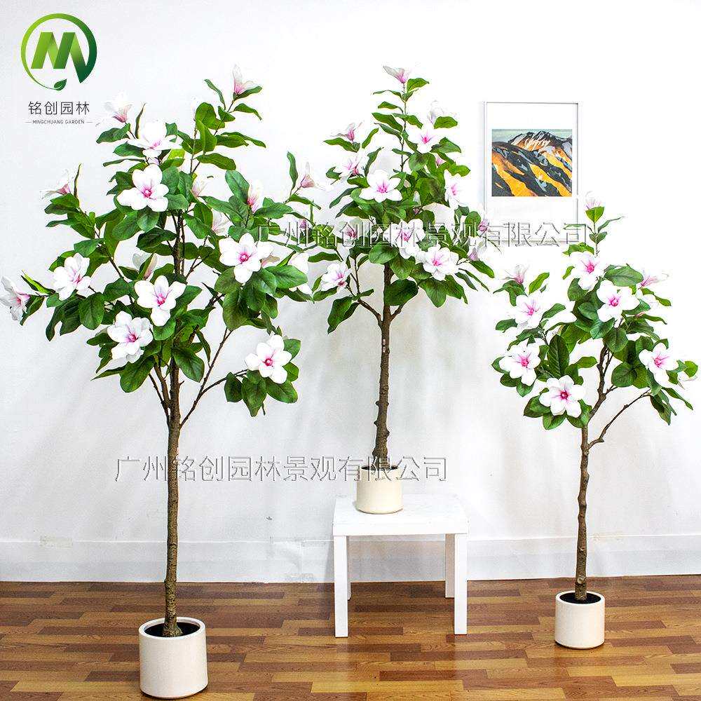 高级绿植仿真玉兰树盆栽室内假树客厅大型落地玉兰花树装饰摆件