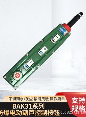 BAK31-4K防爆电动葫芦BAK31-2K/6K/8K/10K防爆控制按钮开关LA5817