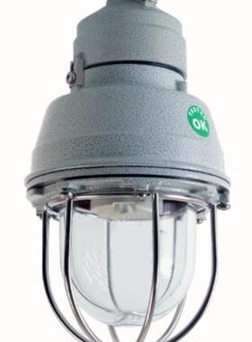 意大利 CORTEM group 照明灯具 电动汽车 全系列 全型号