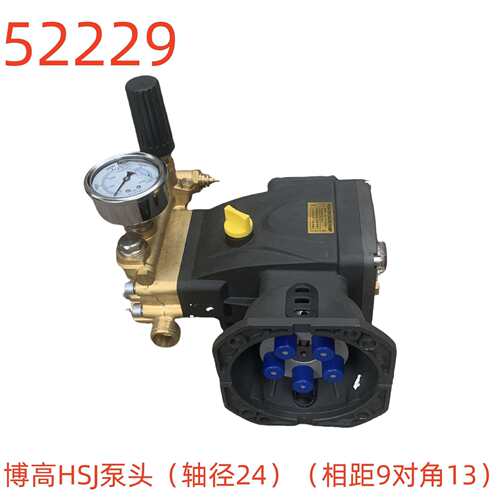 博高HSJ泵头（轴径24）（相距9对角13）-52229号