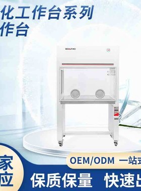 SW-CJ-2F超净台水平垂直单双人无尘操作实验室无菌超净化台