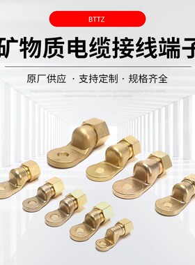 矿物质电缆专用铜鼻子接线端子BTTZ线耳BTTVZ端头BTTYZ螺丝免压接