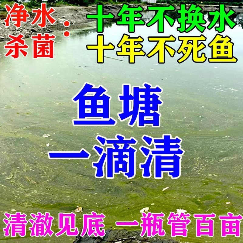 鱼塘净水宝池质变清水塘净化剂去除绿藻蓝藻铁锈菌改底消毒杀水药