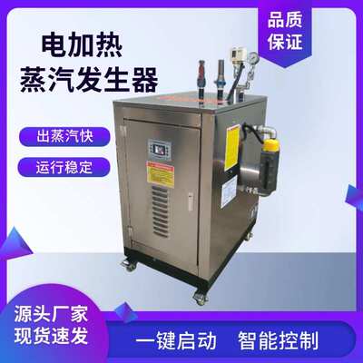电加热蒸汽发生器 水泥预制块公路桥梁养护加热烧水保温蒸汽锅炉