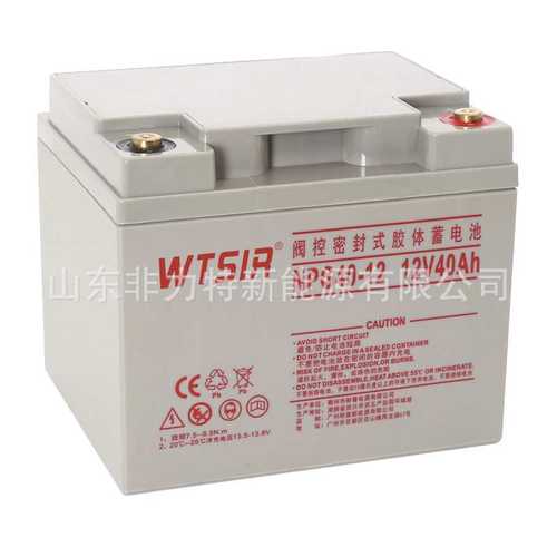 WTSIR维塔斯蓄电池NPG40-12 12V40AH电力系统 发电站 UPS/EPS电源