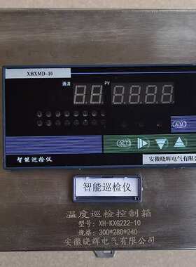 温度巡检控制箱XH-KXG222-10