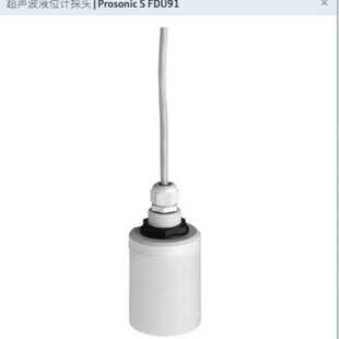 RG2AA FDU91 RG1AA超声波传感器液位计探头 H恩德斯豪斯