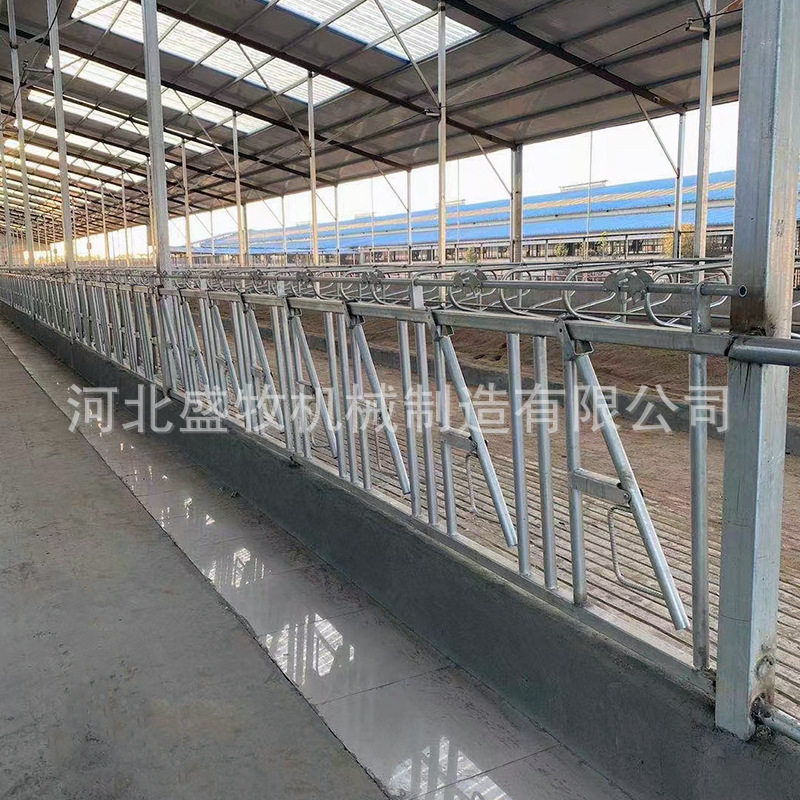 养牛场牛颈夹畜牧养牛牛颈枷牛用定位栏成品以及配件直销