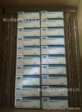 KOYO陶瓷轴承·EXSEV轴承 SE6006ZZSTPRC3YS 特殊环境用轴承系列