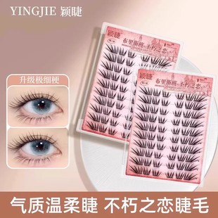 【下单立减50】不朽之恋假睫毛神器初学者隐形学生日系薄片混合ZP