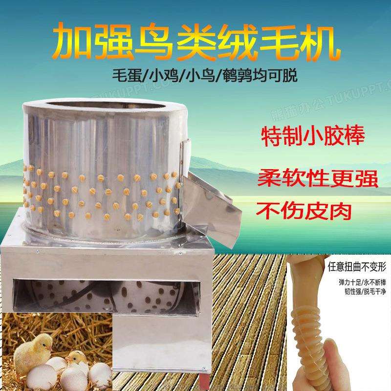 不锈钢小家禽鹌鹑鸽子脱毛机刚出壳小鸡小鸭小鹌鹑脱毛机厂家