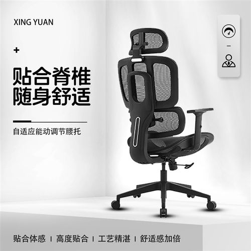 人体工学椅电脑椅办公椅舒适久坐透气电竞椅靠背椅子书房家用座椅