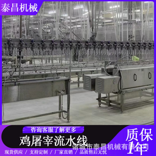 鸡屠宰流水线活鸡屠宰加工生产线掏脏预冷分割线肉鸡屠宰加工设备