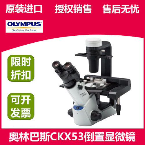 OLYMPUS奥林巴斯CKX53倒置相差显微镜 细胞培养用 三目预对中