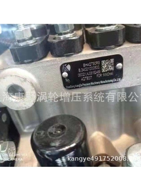 原装喷油泵BH4QT90R9 34021000500 4QTE07和4TQE23和4QTD1069