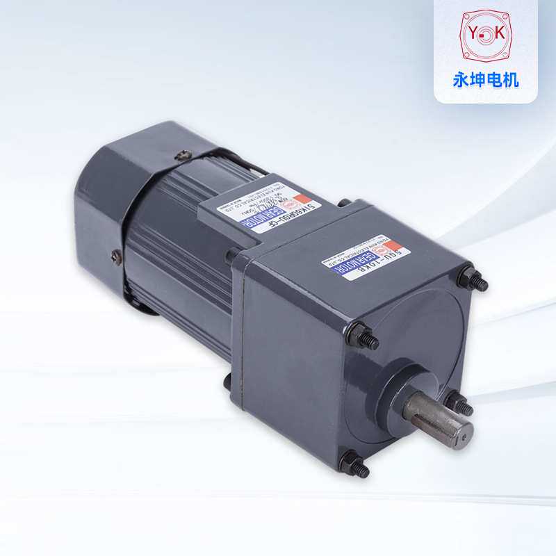 永坤牌60W小功率减速电机速比20 单相微型交流减速电机