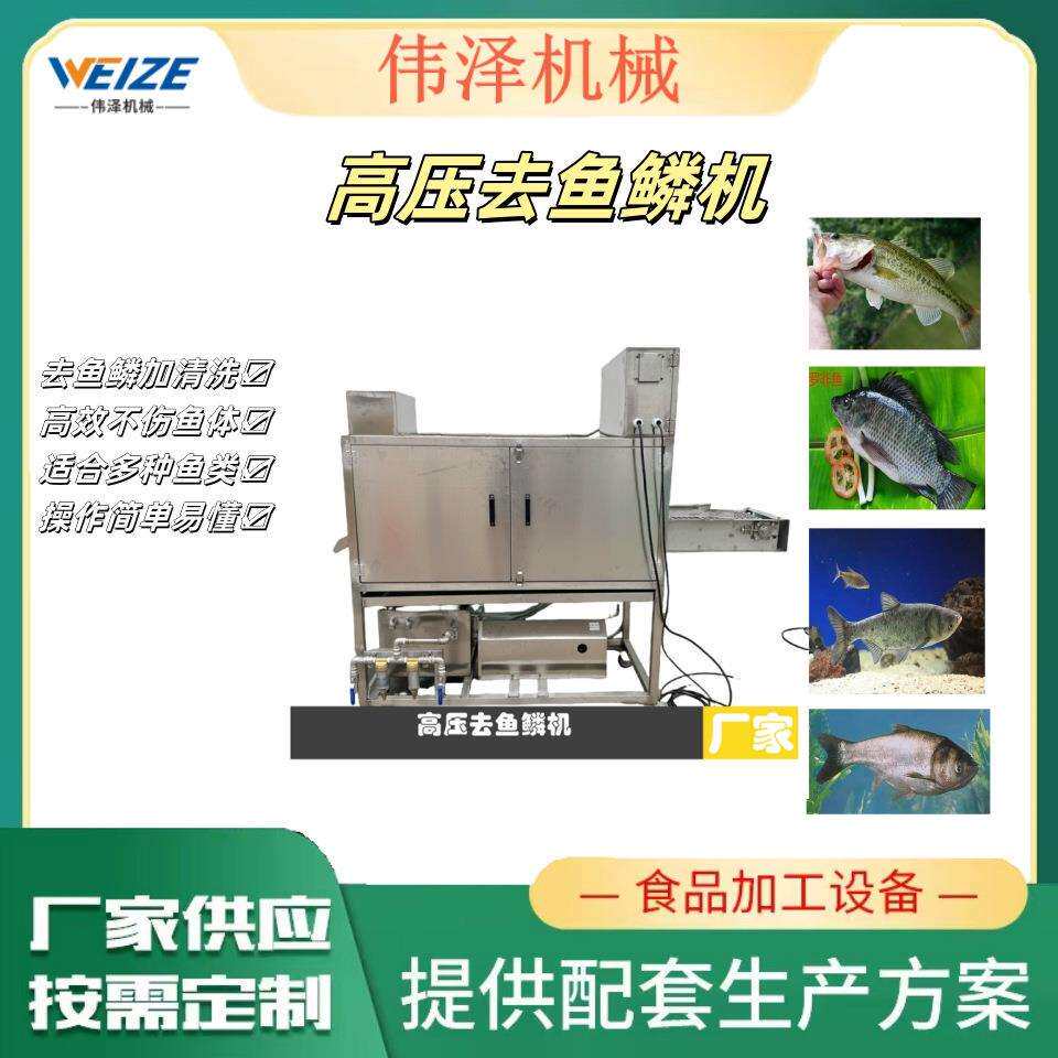 供应高压水去鱼鳞机 开膛破肚内脏刨鱼设备不锈钢鱼肉切片机厂家