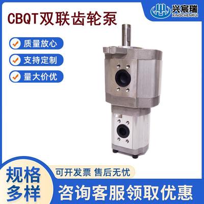 双联齿轮油泵CBQT-E563/F432F550/F410F550/F416F550/F420-AFH