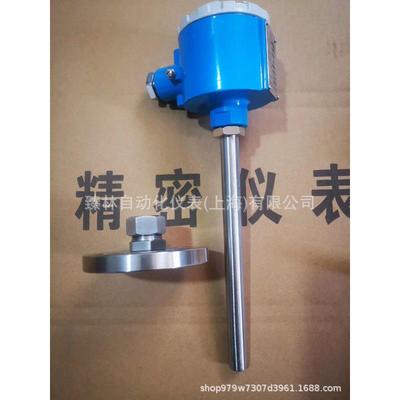 K型耐磨热电偶WREN2-631