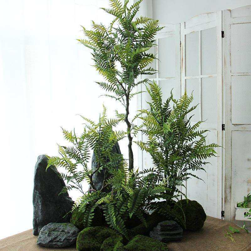 仿真蕨树厥类绿植热带雨林森系假植物角橱窗陈列造景大号落地摆件