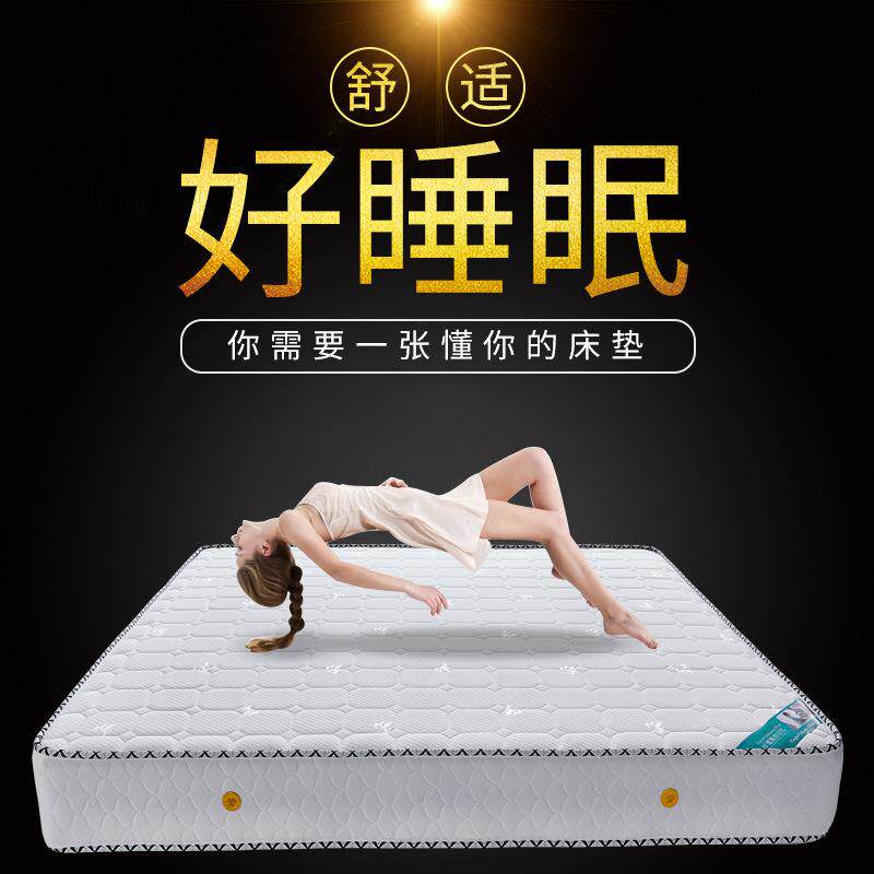 椰棕床垫1.8m1.5米软硬适中床垫透气整网弹簧床垫201
