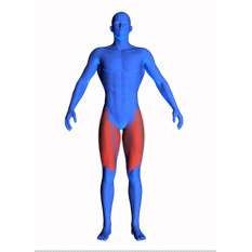 商用BS3014商用大腿外侧肌训练腿部训练机伸展机内外夹腿训练器