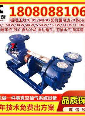 2BV2061水环式真空泵及压缩机组铸铁卧式工业用真空泵真空系统X20