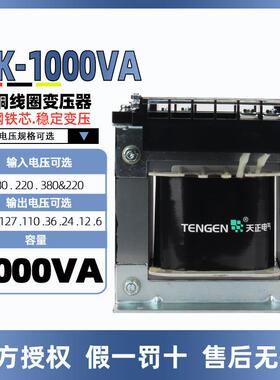 天正BK-1000VA控制变压器交流220380V转220V110V36V24V12V6V铜