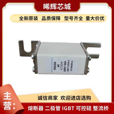 茗熔RGS30A 20A 25A 50A 型号齐全电子元器件量大从优快速熔断器
