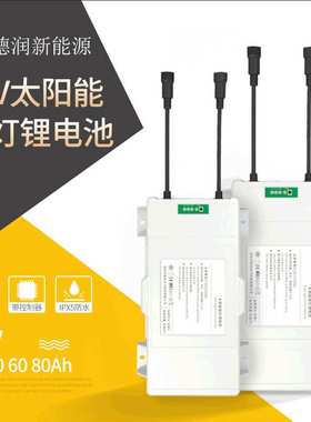 工厂 12V20AH30AH太阳能防水路灯投光灯LED灯监控储能锂电池组