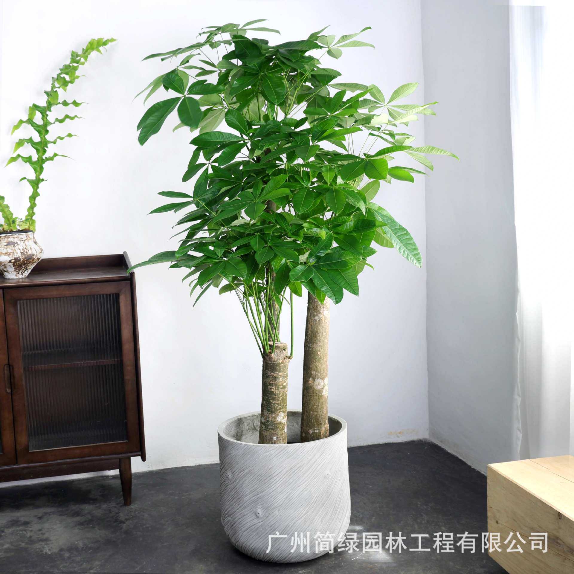 镁泥花盆欧美现代艺术客厅商场室内外落地简约特大型号绿植盆