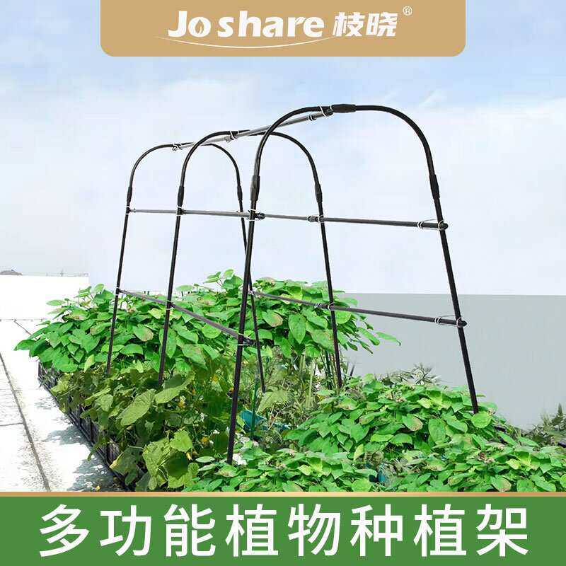 枝晓 种植箱14多功能  爬藤架 蔬菜黄瓜架丝瓜四季豆架子豆角葫芦