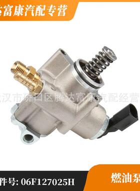 适用于大众 奥迪 斯柯达 西雅特 燃油泵 06F127025H