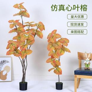 北欧风仿真绿植心叶榕盆栽室内家居落地装饰摆件软装造景设计假树